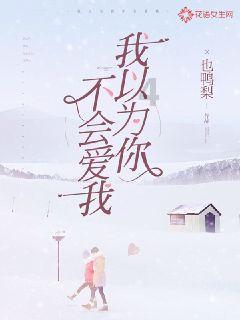 公主的华丽晚宴